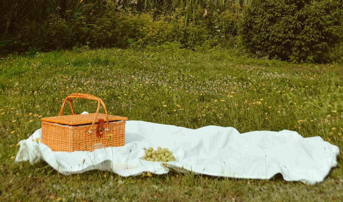 pique nique dans la nature avec une nappe blanche et un panier en osier. Une coupelle avec des raisins vert.