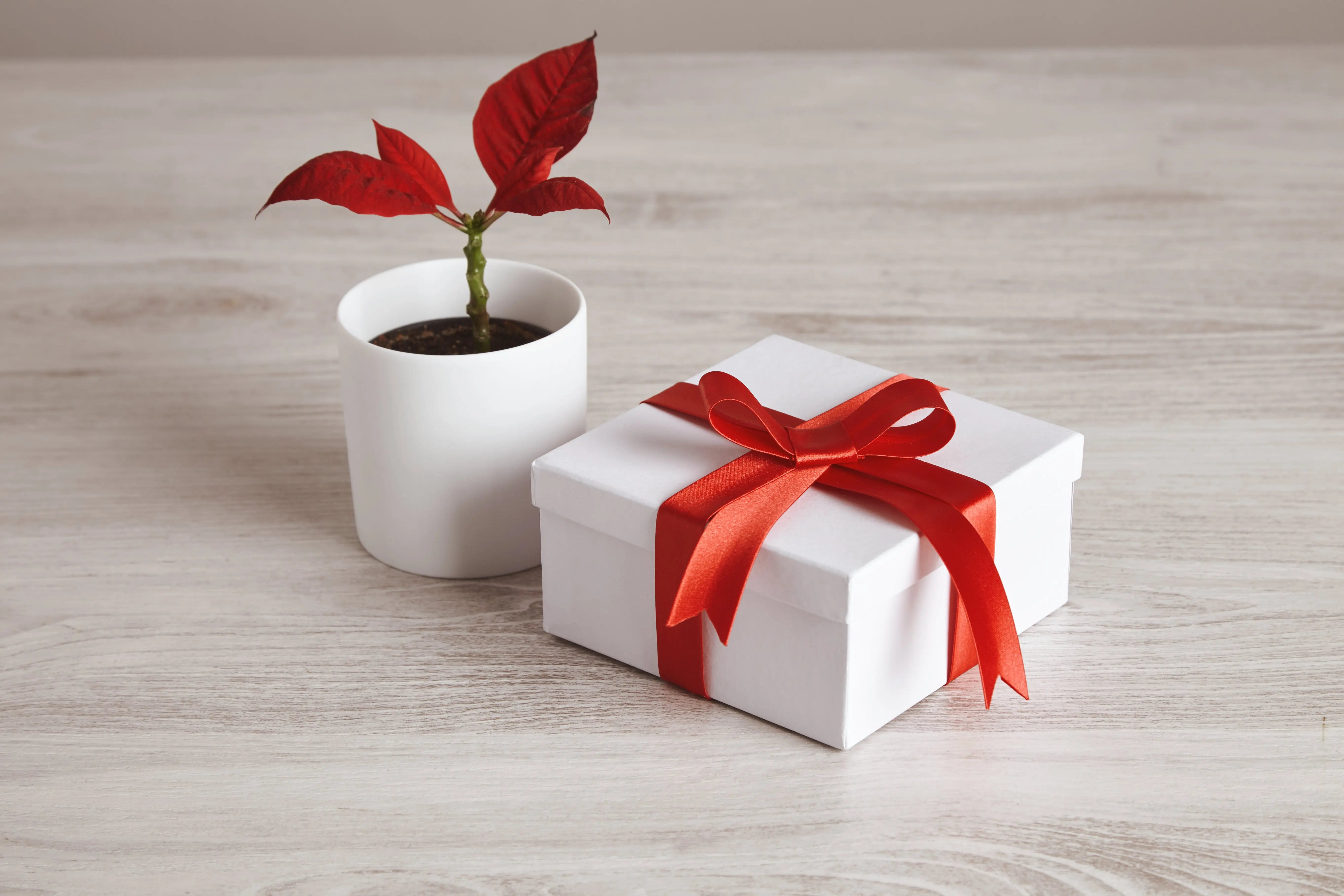 Goodies Originaux - Ma boutique