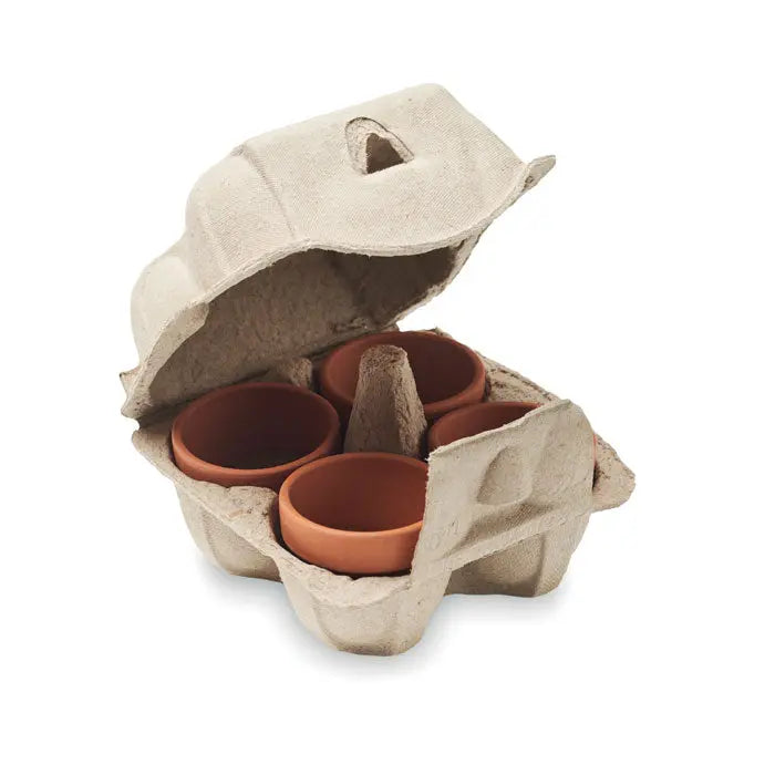 Boîte oeufs personnalisable avec pots pour plantes cresson